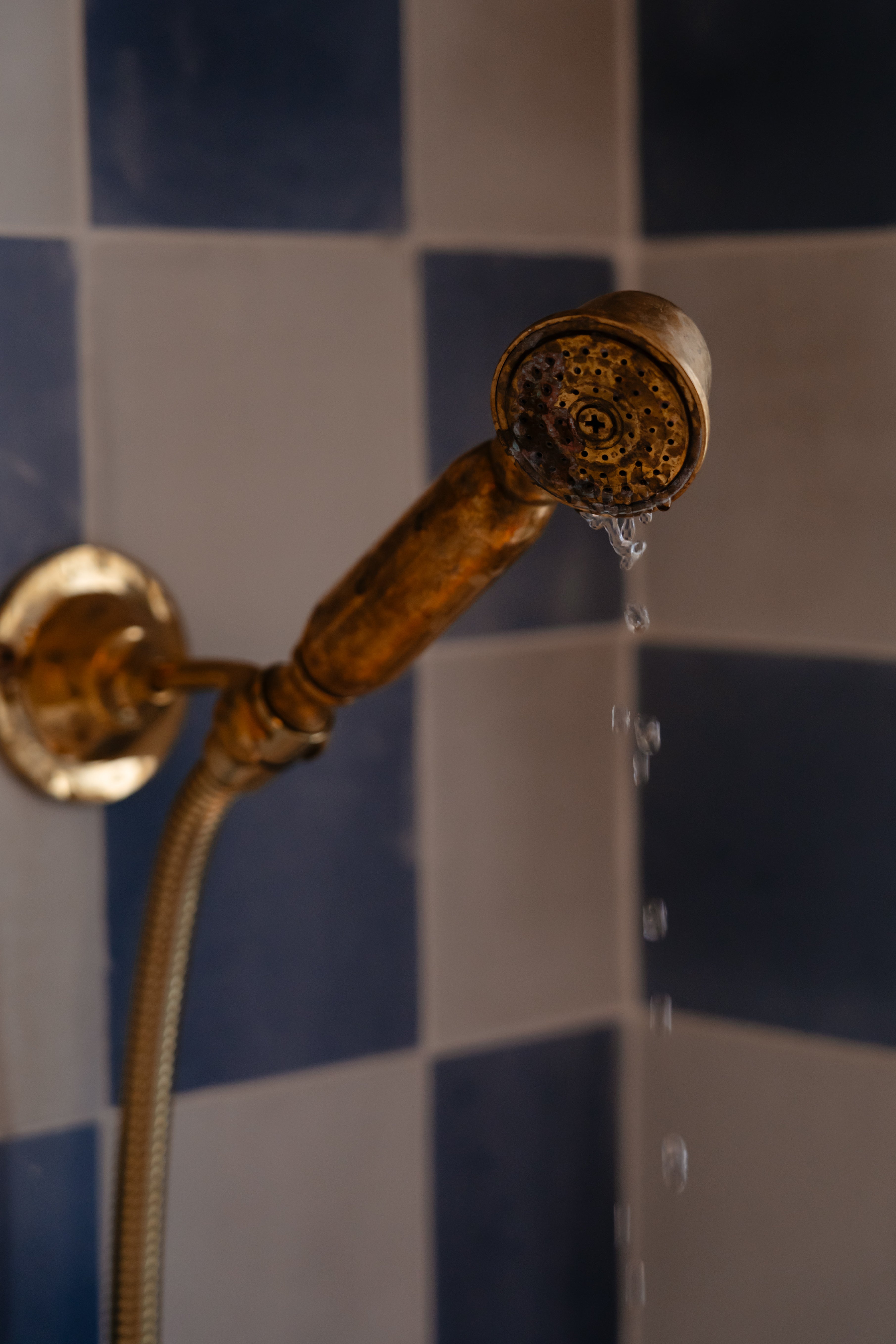 Unlacquered Brass Shower System #BL001