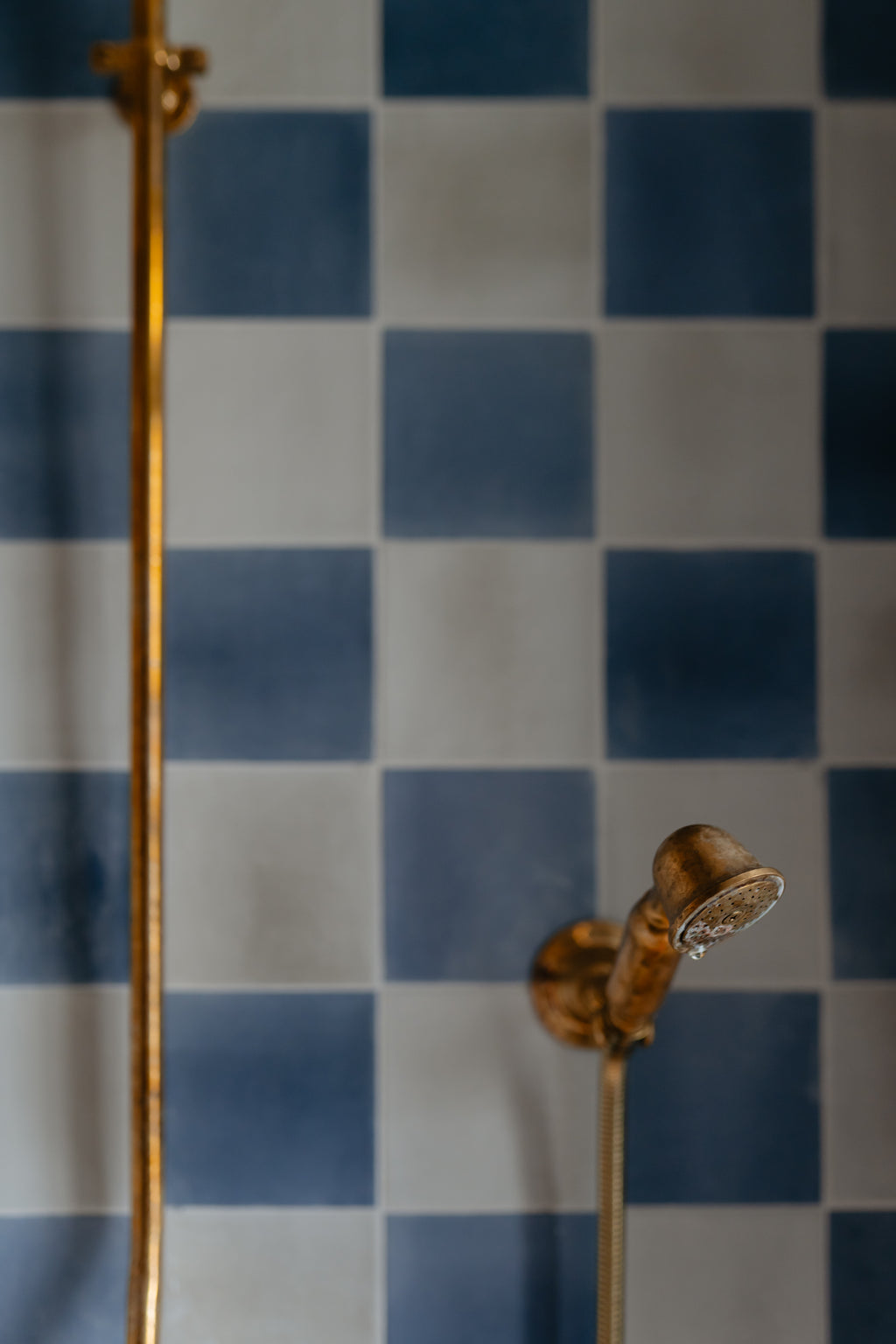 Unlacquered Brass Shower System #BL001