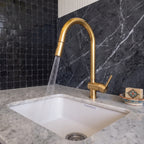 Unlacquered Brass Kitchen Faucet — Pull-Down Sprayer, 360° Spout #BL019