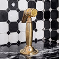 Antique Brass Kitchen Sprayer #BL021