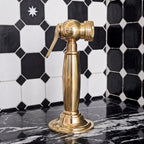 Antique Brass Kitchen Sprayer #BL021